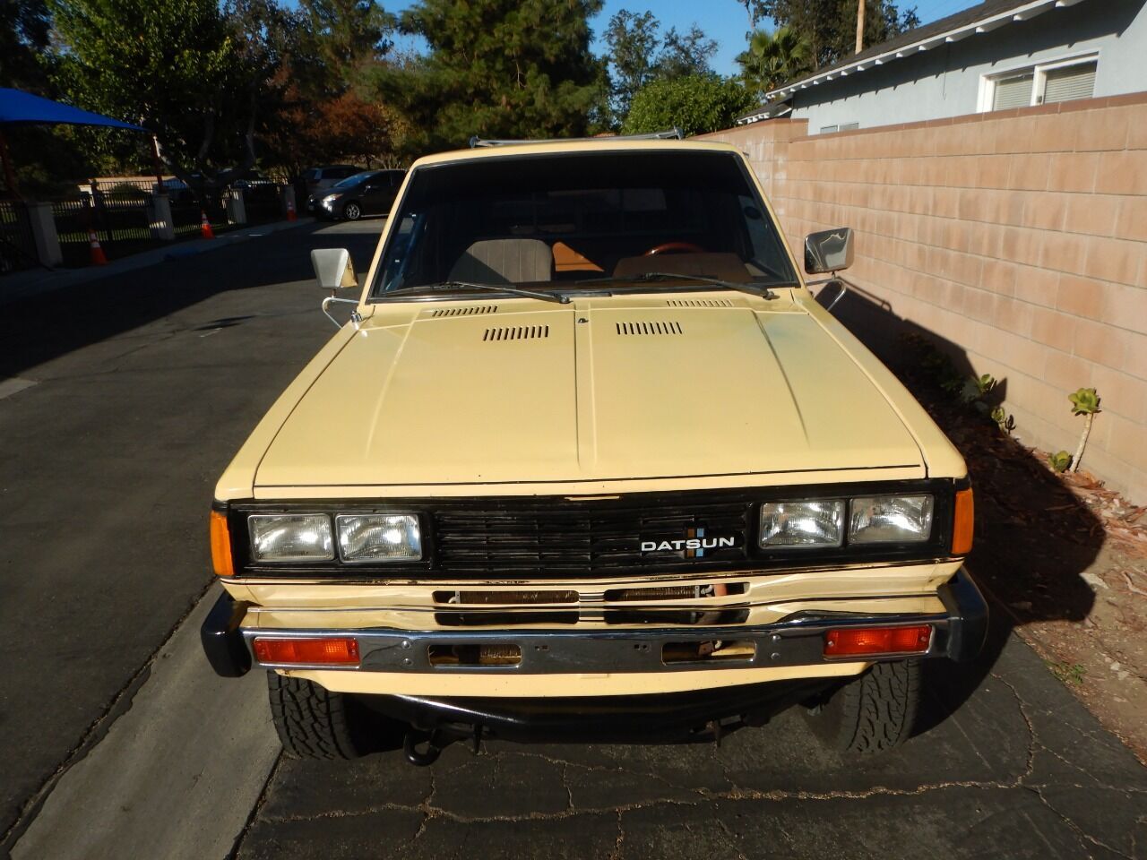 1980 Datsun Pickup 14