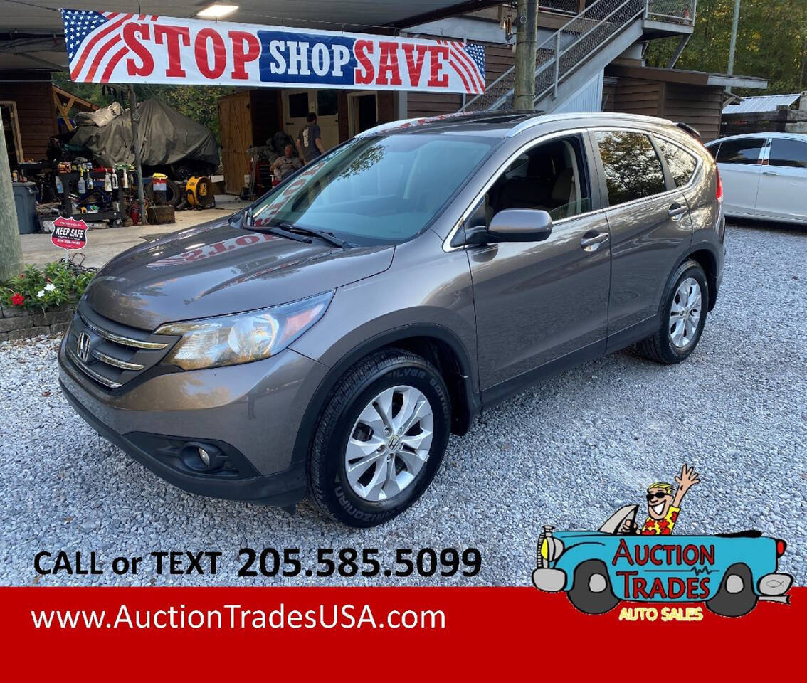 2014 Honda CR-V for sale at Auction Trades Auto Sales in Chelsea, AL