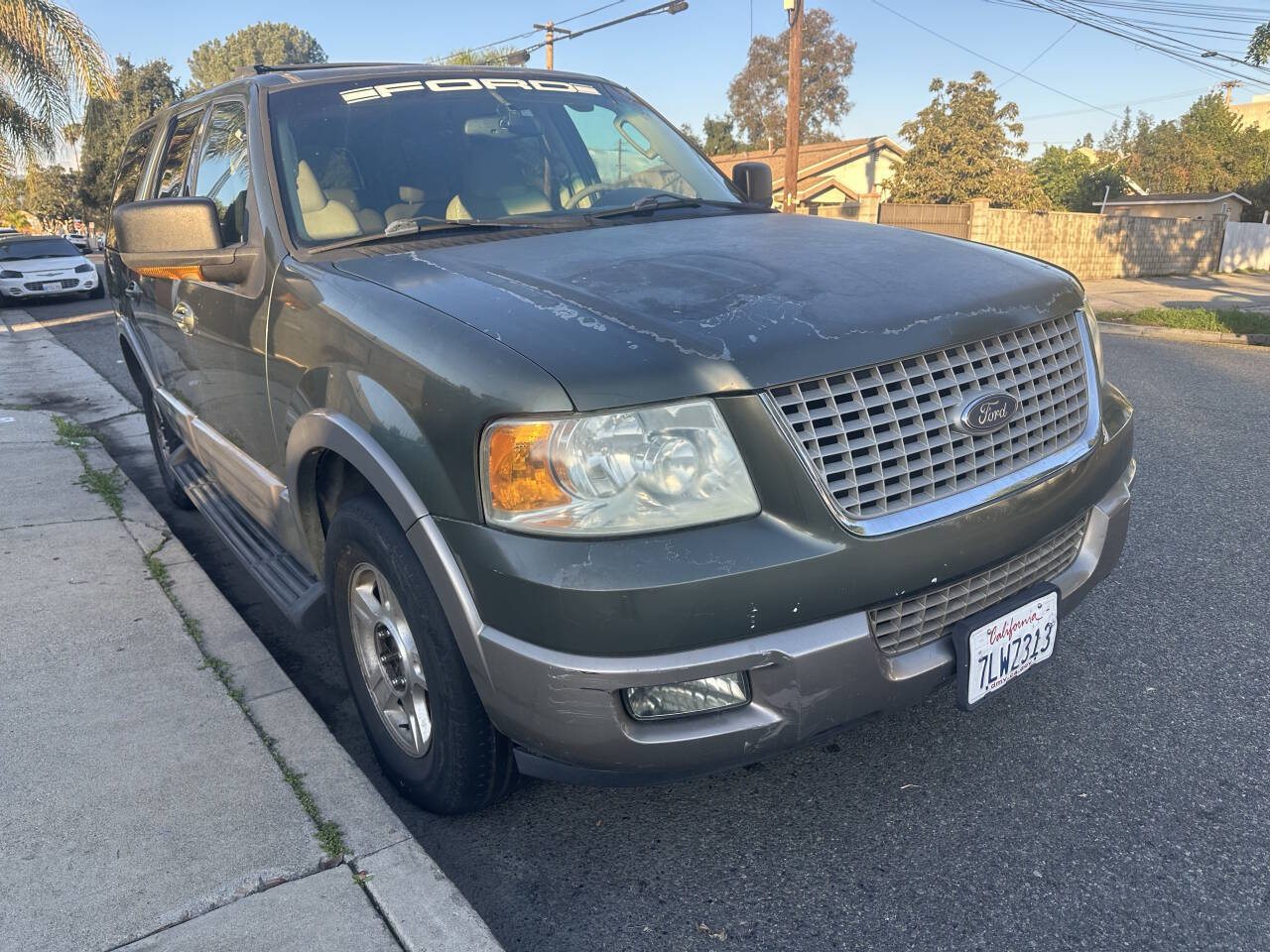 Green 2003 Ford Expedition Eddie Bauer Eddie Bauer 4dr SUV 1