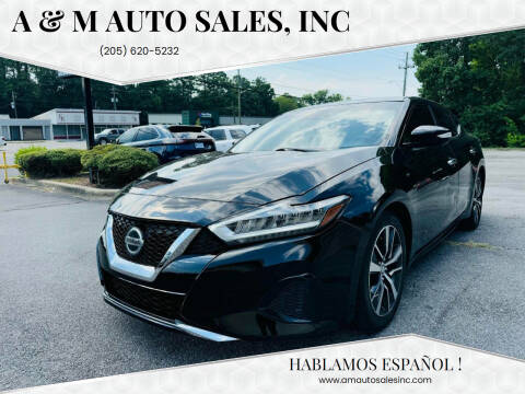 2020 Nissan Maxima for sale at A & M Auto Sales, Inc in Alabaster AL