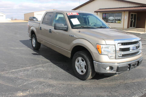 2013 Ford F-150 for sale at Unique Autos in Ridgeville IN