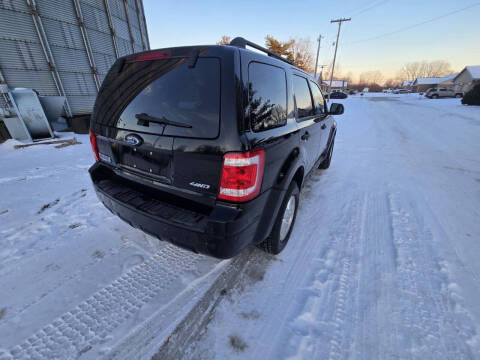 2008 Ford Escape XLT