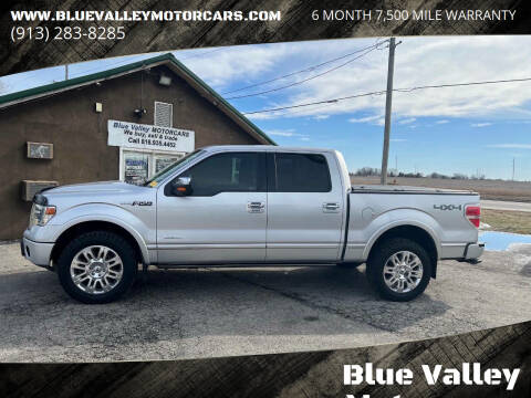 2014 Ford F-150 for sale at Blue Valley Motorcars in Stilwell KS