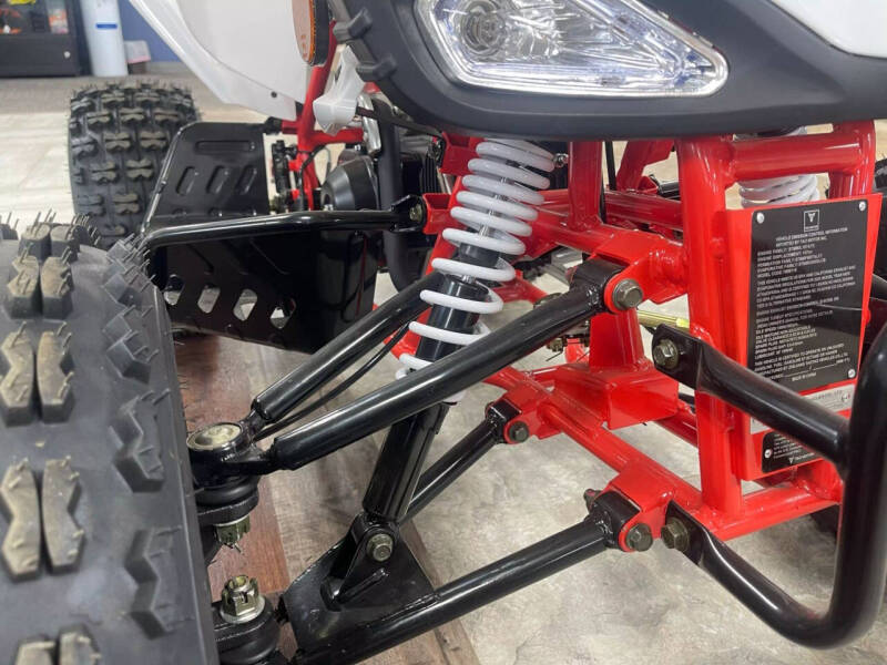 2025 TAO CHEETAH (G125)