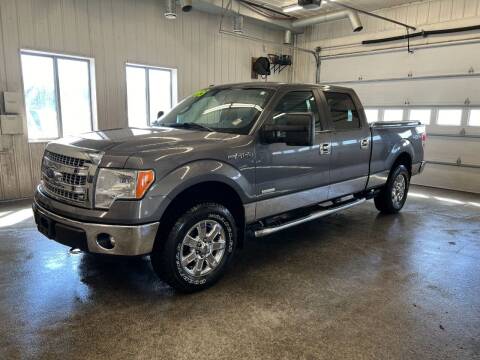 2013 Ford F-150 for sale at Sand's Auto Sales in Cambridge MN