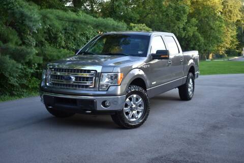 2014 Ford F-150 for sale at Alpha Motors in Knoxville TN