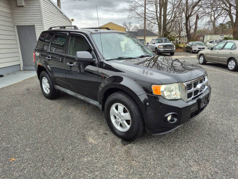 2011 Ford Escape XLT