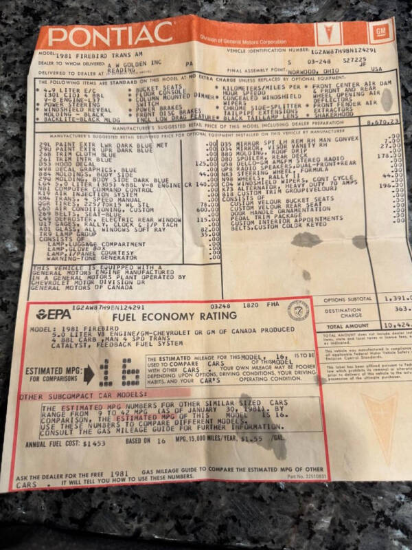 1981 Pontiac Firebird Trans Am