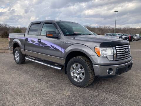 2011 Ford F-150 for sale at H & G AUTO SALES LLC in Princeton MN
