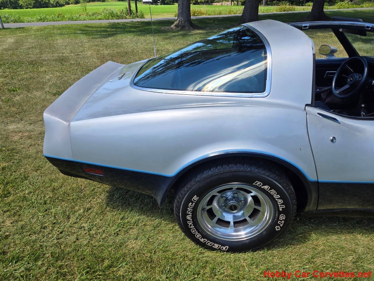 1981 Chevrolet Corvette 14