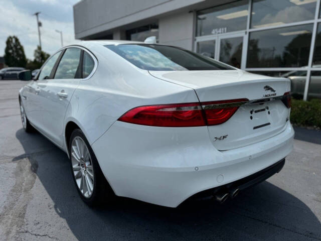 2017 Jaguar XF for sale at Opus Motorcars in Utica, MI