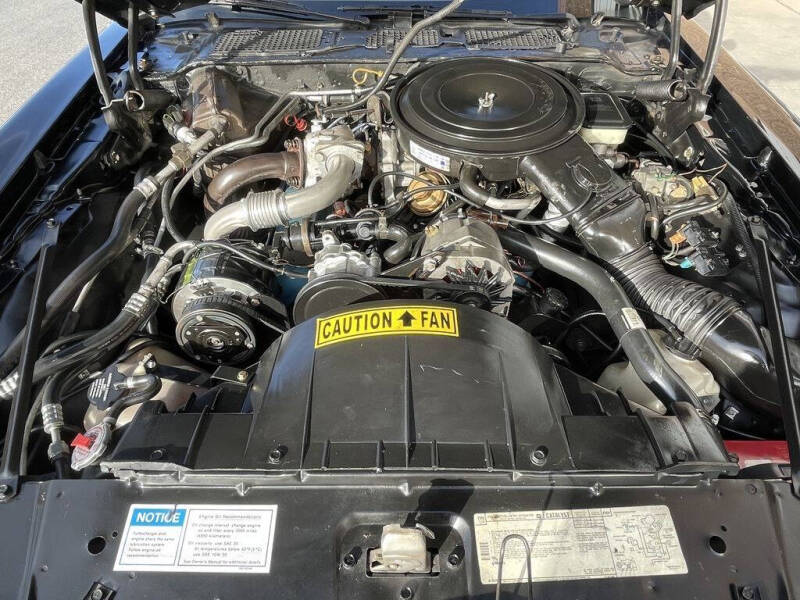 1981 Pontiac Firebird Trans Am