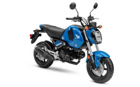 2022 Honda GROM 125 ABS for sale at HAMMER'S HONDA in Mobridge SD