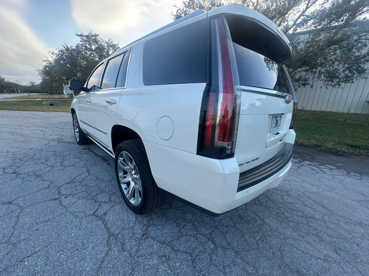 2015 Cadillac Escalade for sale at Rubi Motorsports in Sarasota, FL