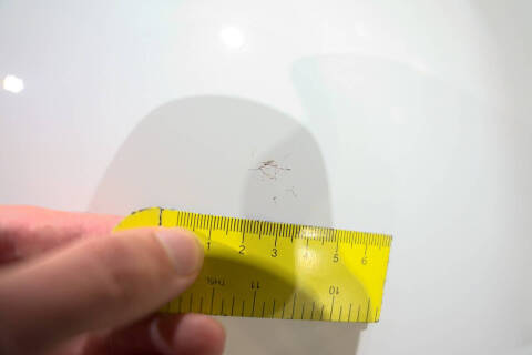 1941 International Model K