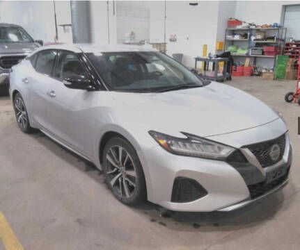 2020 Nissan Maxima for sale at Salmon Automotive Inc. in Tracy MN