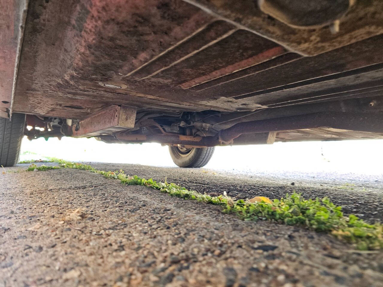 1964 Ford Mustang 223