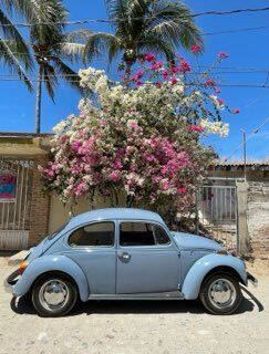 1974 Volkswagen Beetle
