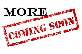 2011 Cadillac DTS Pro Coachbuilder Limo