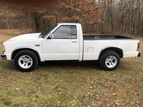 1989 Chevrolet S-10 for sale at Classic Car Deals in Cadillac MI