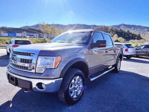 2013 Ford F-150 for sale at FAMILY AUTO II in Pounding Mill VA