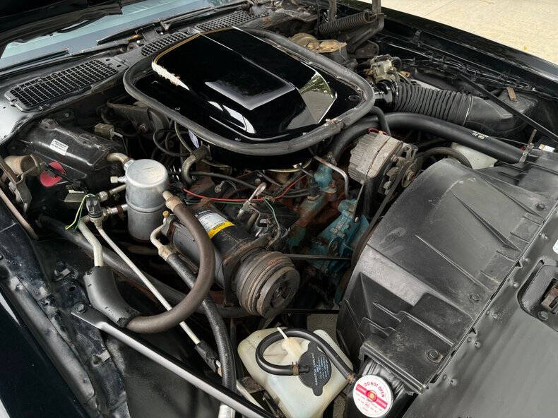 1977 Pontiac Trans Am