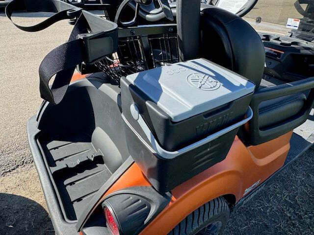 2019 Yamaha 19QT