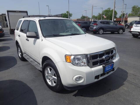 2011 Ford Escape for sale at ROSE AUTOMOTIVE in Hamilton OH