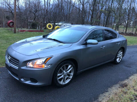 2009 Nissan Maxima for sale at D & M Auto Sales & Repairs INC in Kerhonkson NY