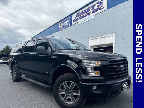 2016 Ford F-150 for sale at Amey's Garage Inc in Cherryville PA