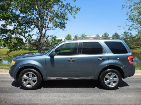 2011 Ford Escape XLT