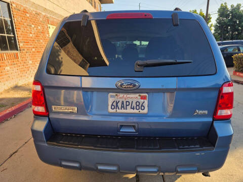 2010 Ford Escape XLT