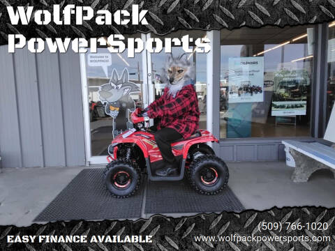 2023 Denago E- HAWK 6 ATV for sale at WolfPack PowerSports in Moses Lake WA