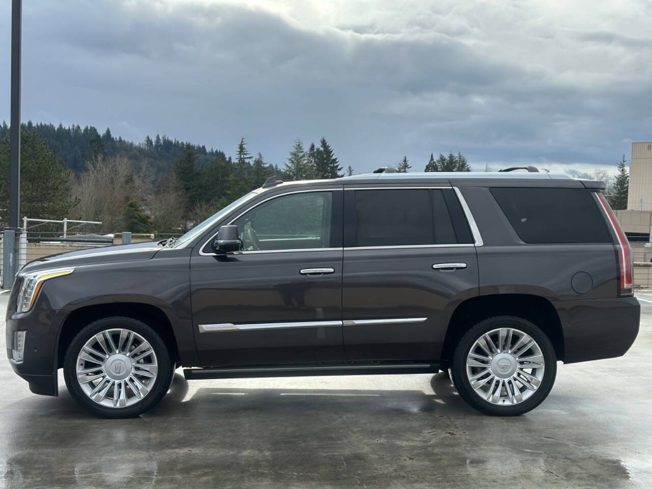 2017 Cadillac Escalade for sale at Starline Motorsports in Portland, OR