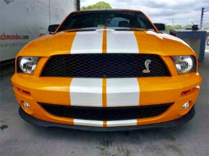 2007 Ford Shelby GT500 for sale at Suncoast Sports Cars and Exotics in West Palm Beach FL