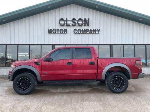 2014 Ford F-150 for sale at Olson Motor Company in Morris MN