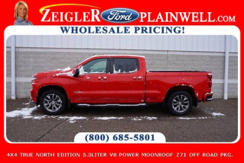 2019 Chevrolet Silverado 1500 for sale at Harold Zeigler Ford - Jeff Bishop in Plainwell MI