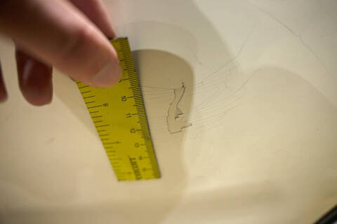 1963 Ford Thunderbird