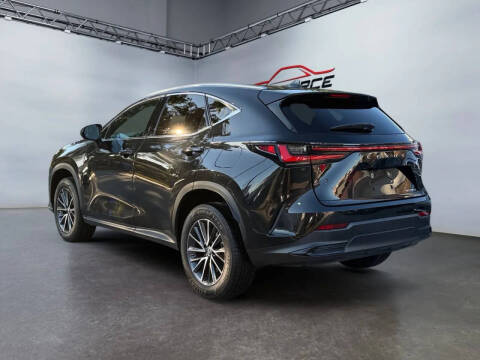 2023 Lexus NX 250