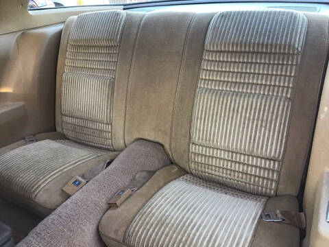 1981 Pontiac Firebird Trans Am