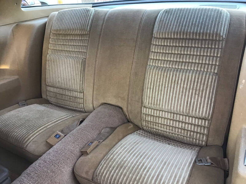 1981 Pontiac Firebird Trans Am