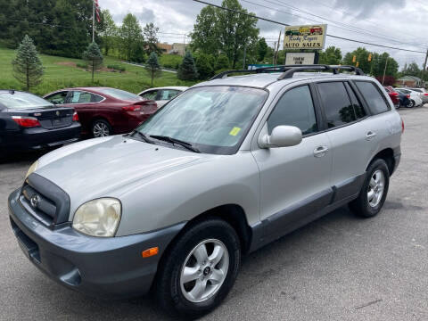 2006 Hyundai Santa Fe for sale at Ricky Rogers Auto Sales in Arden NC