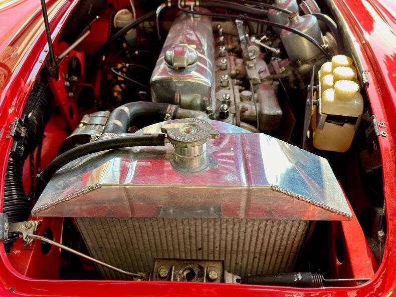 1966 Austin-Healey 3000