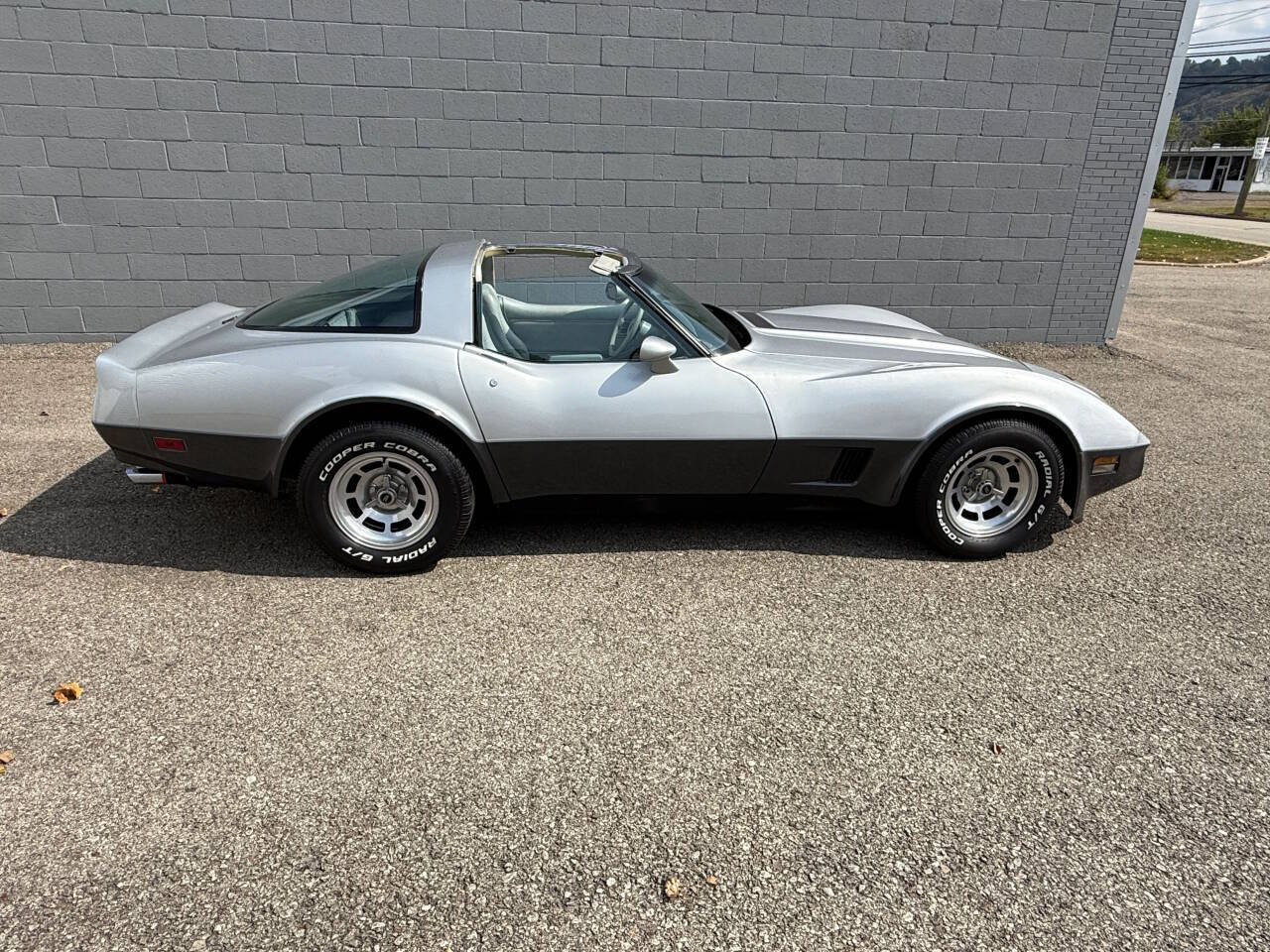 1981 Chevrolet Corvette 165