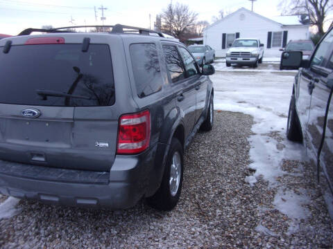2011 Ford Escape XLT