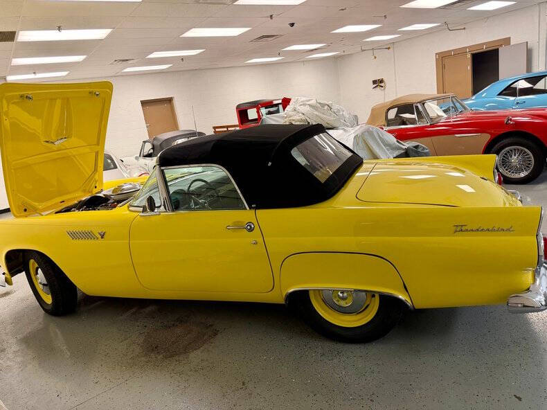 1955 Ford Thunderbird