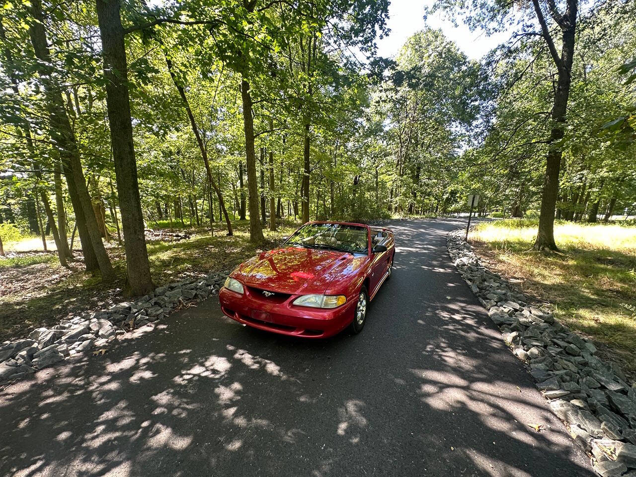 1998 Ford Mustang for sale at Froggy Cars LLC in Hamburg, NJ