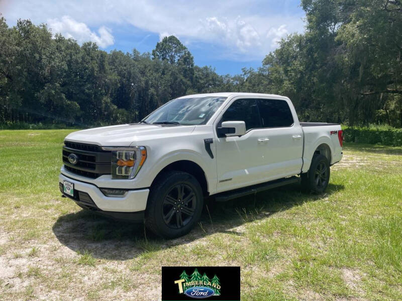 2023 Ford F-150 for sale at TIMBERLAND FORD in Perry FL