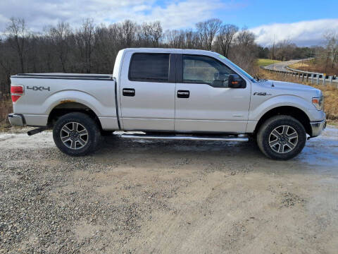 2014 Ford F-150 for sale at Skyline Automotive LLC in Woodsfield OH