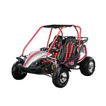 2023 Hammerhead GTS150 PLATINUM for sale at JMR Honda in Hyannis MA